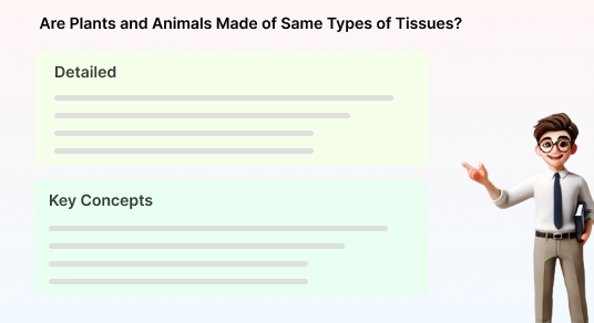 A learning path that spends more time on weak topics