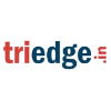 Triedge Solutions logo